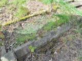 image of grave number 652803